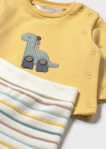 CONJUNTO POLAINA