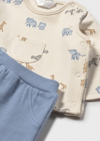 CONJUNTO POLAINA